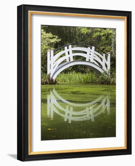 South Carolina, Charleston, Magnolia Plantation. Arching Bridge-Don Paulson-Framed Photographic Print