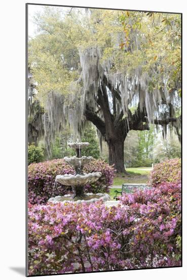 South Carolina, Frampton Plantation, Patio and Garden-Lisa S. Engelbrecht-Mounted Photographic Print