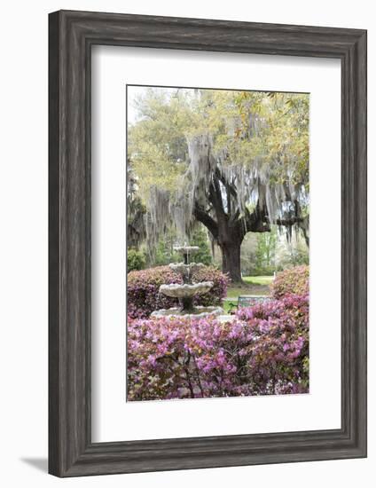 South Carolina, Frampton Plantation, Patio and Garden-Lisa S. Engelbrecht-Framed Photographic Print