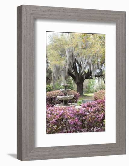 South Carolina, Frampton Plantation, Patio and Garden-Lisa S. Engelbrecht-Framed Photographic Print