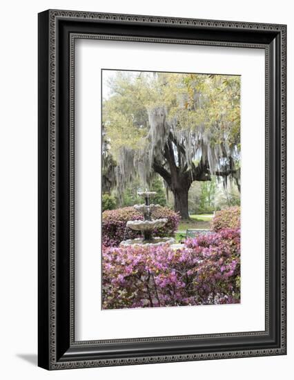 South Carolina, Frampton Plantation, Patio and Garden-Lisa S. Engelbrecht-Framed Photographic Print