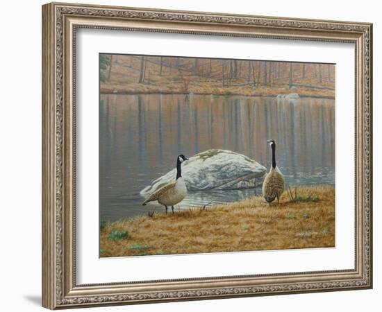 South Carolina Geese-Bruce Dumas-Framed Giclee Print