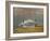 South Carolina Geese-Bruce Dumas-Framed Giclee Print