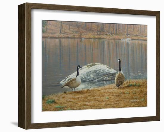 South Carolina Geese-Bruce Dumas-Framed Giclee Print