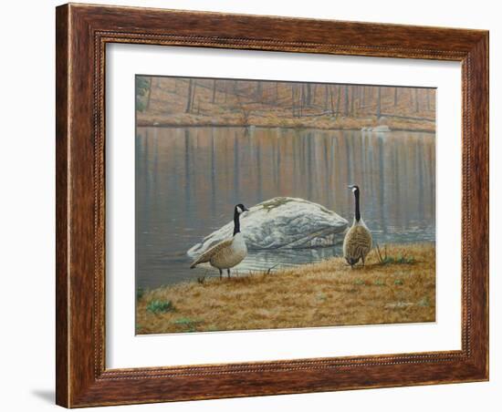 South Carolina Geese-Bruce Dumas-Framed Giclee Print