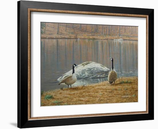 South Carolina Geese-Bruce Dumas-Framed Giclee Print