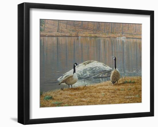 South Carolina Geese-Bruce Dumas-Framed Giclee Print