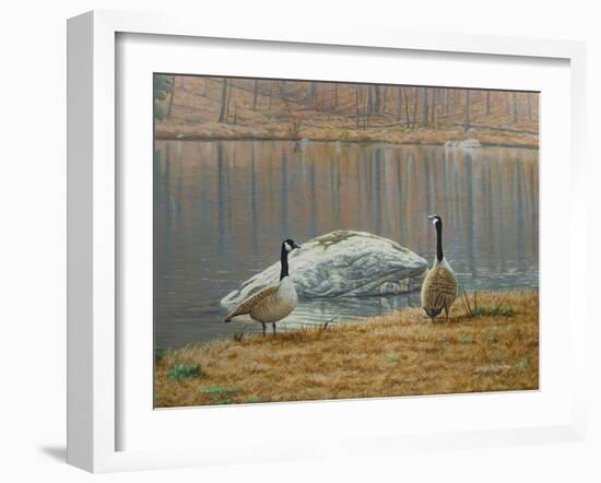 South Carolina Geese-Bruce Dumas-Framed Giclee Print