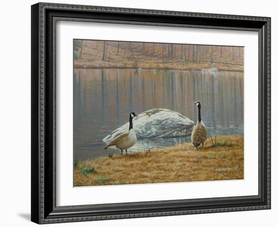 South Carolina Geese-Bruce Dumas-Framed Giclee Print