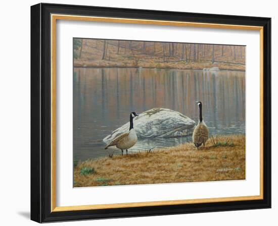 South Carolina Geese-Bruce Dumas-Framed Giclee Print