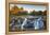 South Carolina, Greenville, Falls Park on the Reedy River, Dawn-Walter Bibikow-Framed Premier Image Canvas