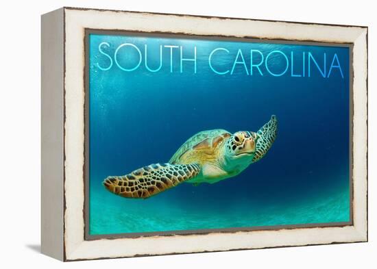 South Carolina - Sea Turtle-Lantern Press-Framed Stretched Canvas