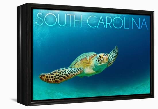 South Carolina - Sea Turtle-Lantern Press-Framed Stretched Canvas