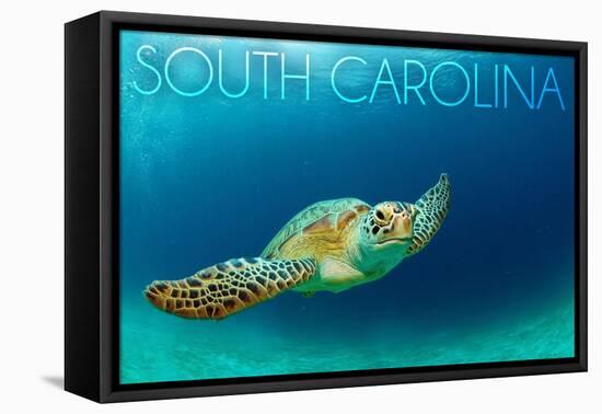 South Carolina - Sea Turtle-Lantern Press-Framed Stretched Canvas