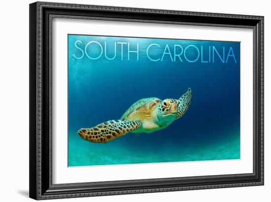 South Carolina - Sea Turtle-Lantern Press-Framed Premium Giclee Print