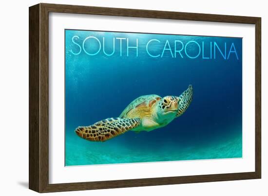 South Carolina - Sea Turtle-Lantern Press-Framed Art Print