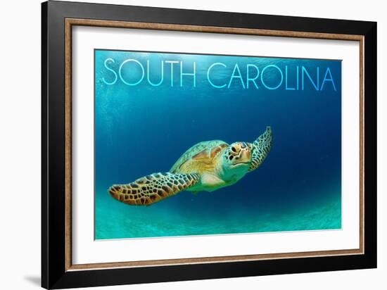 South Carolina - Sea Turtle-Lantern Press-Framed Art Print