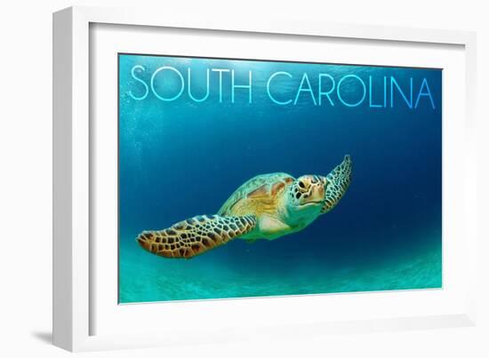 South Carolina - Sea Turtle-Lantern Press-Framed Art Print