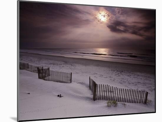 South Carolina, USA-null-Mounted Photographic Print