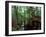 South Carolina, USA-null-Framed Photographic Print