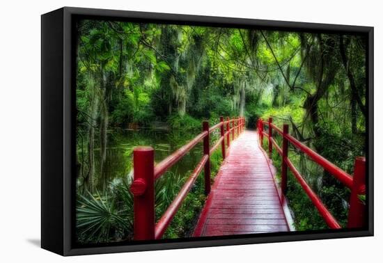 South Carolina Zen Path-George Oze-Framed Premier Image Canvas