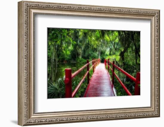 South Carolina Zen Path-George Oze-Framed Photographic Print