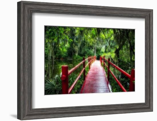 South Carolina Zen Path-George Oze-Framed Photographic Print