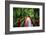 South Carolina Zen Path-George Oze-Framed Photographic Print