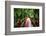 South Carolina Zen Path-George Oze-Framed Photographic Print