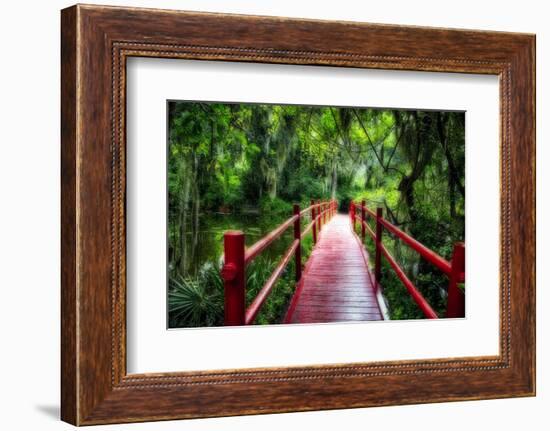 South Carolina Zen Path-George Oze-Framed Photographic Print