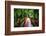 South Carolina Zen Path-George Oze-Framed Photographic Print