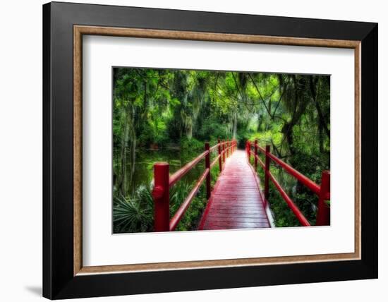 South Carolina Zen Path-George Oze-Framed Photographic Print