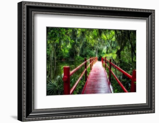 South Carolina Zen Path-George Oze-Framed Photographic Print