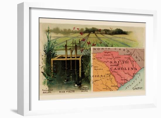 South Carolina-Arbuckle Brothers-Framed Premium Giclee Print