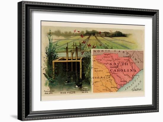 South Carolina-Arbuckle Brothers-Framed Premium Giclee Print