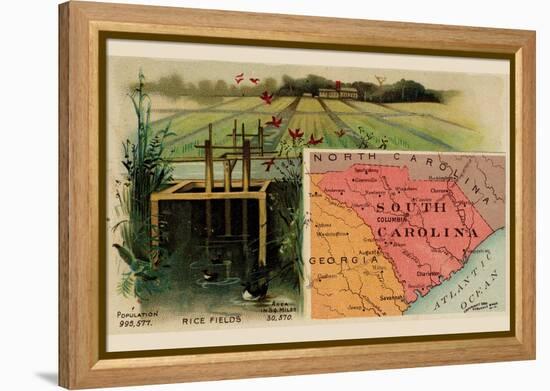 South Carolina-Arbuckle Brothers-Framed Stretched Canvas