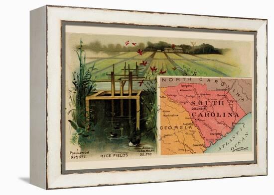 South Carolina-Arbuckle Brothers-Framed Stretched Canvas