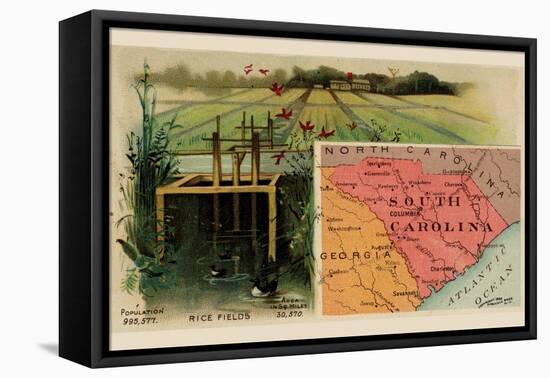 South Carolina-Arbuckle Brothers-Framed Stretched Canvas