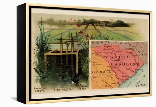 South Carolina-Arbuckle Brothers-Framed Stretched Canvas