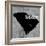 South Carolina -Luke Wilson-Framed Art Print