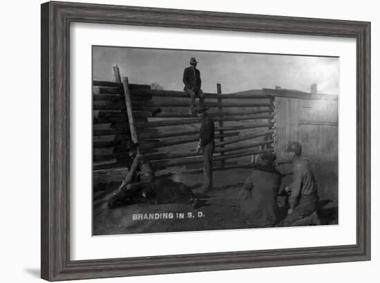 South Dakota - Branding Cattle Scene-Lantern Press-Framed Art Print