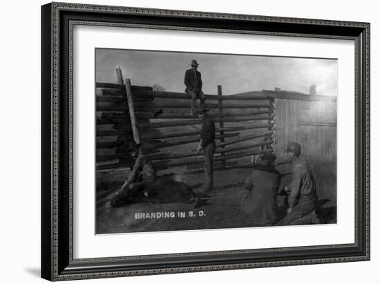 South Dakota - Branding Cattle Scene-Lantern Press-Framed Art Print