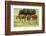 South Dakota, Custer State Park. Bison Calves and Adult-Jaynes Gallery-Framed Photographic Print