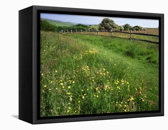 South Downs Way Near East Dean, East Sussex, England, United Kingdom-Kathy Collins-Framed Premier Image Canvas