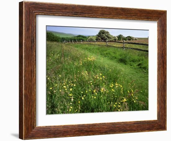 South Downs Way Near East Dean, East Sussex, England, United Kingdom-Kathy Collins-Framed Photographic Print