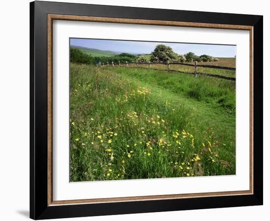 South Downs Way Near East Dean, East Sussex, England, United Kingdom-Kathy Collins-Framed Photographic Print