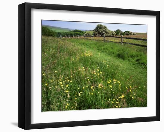 South Downs Way Near East Dean, East Sussex, England, United Kingdom-Kathy Collins-Framed Photographic Print