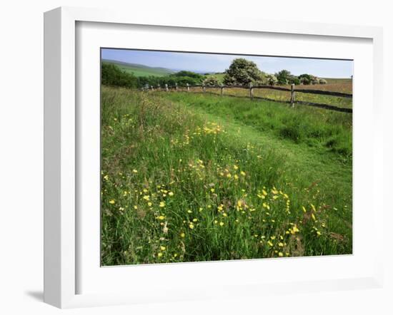 South Downs Way Near East Dean, East Sussex, England, United Kingdom-Kathy Collins-Framed Photographic Print