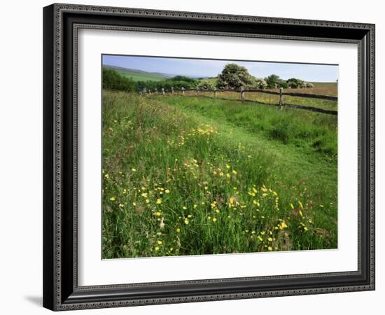 South Downs Way Near East Dean, East Sussex, England, United Kingdom-Kathy Collins-Framed Photographic Print