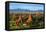 South East Asia, Myanmar, Bagan, Temples on Bagan Plain-Christian Kober-Framed Premier Image Canvas